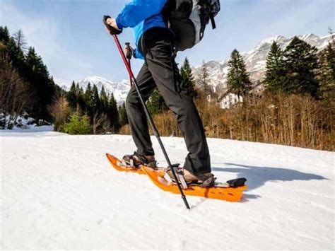 Why Are Snowshoes So Expensive All You Need To Know