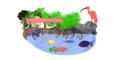 Ecosistema Terrestre Y Acuatico