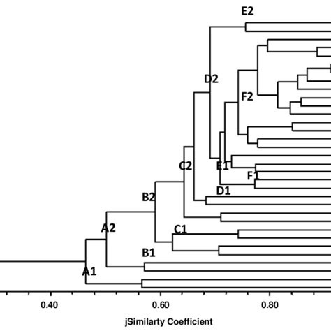 Upgma Dendrogram Based On The Similarity Coefficient Showing The