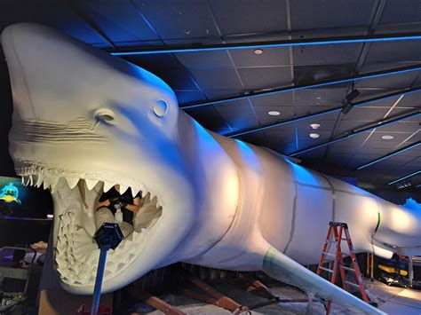 How That Giant Shark Got into the Houston Museum of Natural Science ...