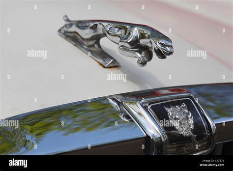 Jaguar hood ornament Stock Photo - Alamy