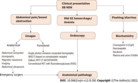 Diagnosis And Management Of Small Bowel Neuroendocrine Tumors A State