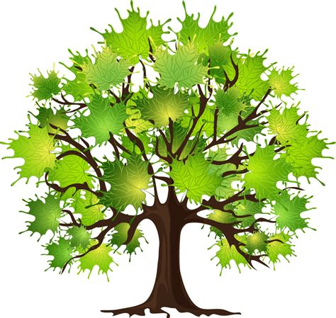 How to Prune a Maple Tree - StumpBustersLLC