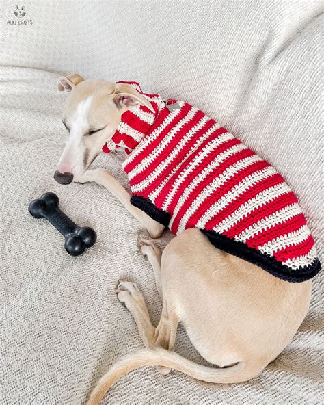 Striped dog sweater crochet pattern Doggo no 14 — Muki Crafts