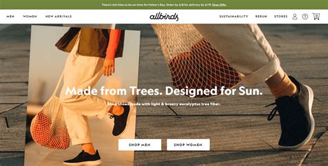 40+ Best Ecommerce Website Design Examples for 2024