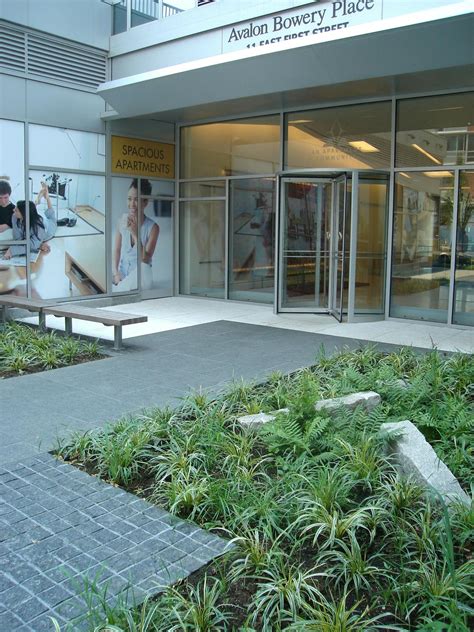 Avalon Bay Urban Housing Landscape | Todd Rader + Amy Crews