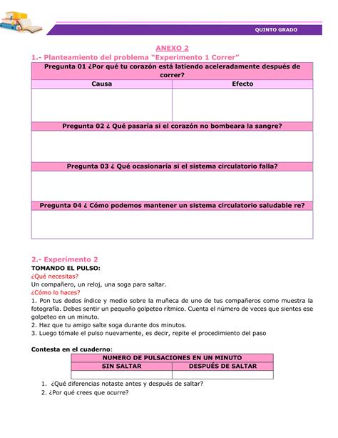 Sesi N De Aprendizaje Conocemos Nuestro Sistema Circulatorio Para