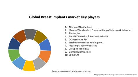 Global Breast Implants Market 2024 2032 Sizeshare Growth