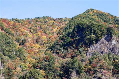 中山七里の紅葉画像3枚目 ｜紅葉名所2024