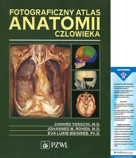 Atlas Fotograficzny Anatomii Człowieka Niska cena na Allegro pl