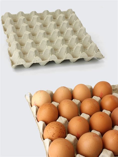 Large Cardboard Egg Trays Eggs