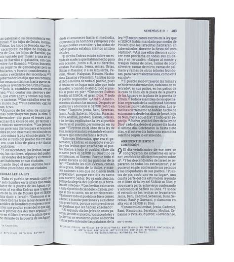 Biblia Nbla Ultrafina Letra Grande Tapa Dura Tela Gris Libreria Peniel