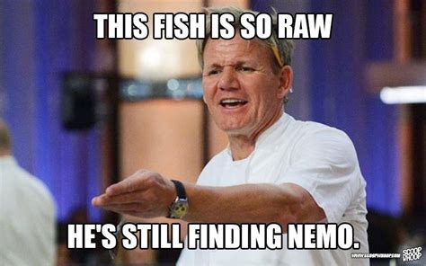 These 29 Memes Of Gordon Ramsay Insulting People Are Too Damn Funny ...