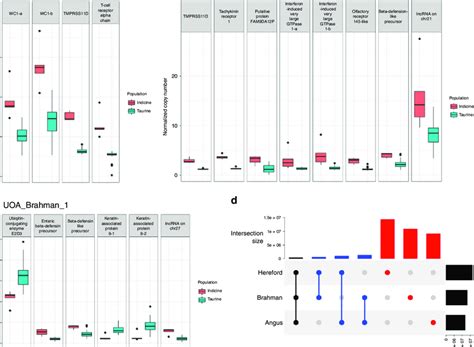 Boxplot Of Normalized Copy Number Of Autosomal Genes With V St 03