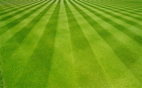 Lawn Striping Guide - Pro Tips For The Best Stripe Pattern