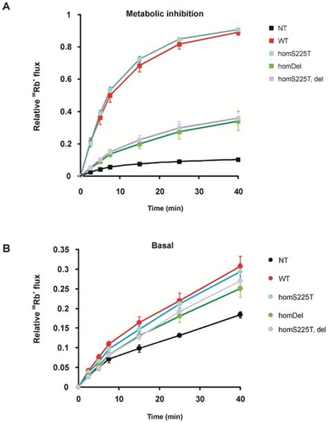 Representative 86Rb Efflux Profile Comparing Untransfected COSm6 Cells