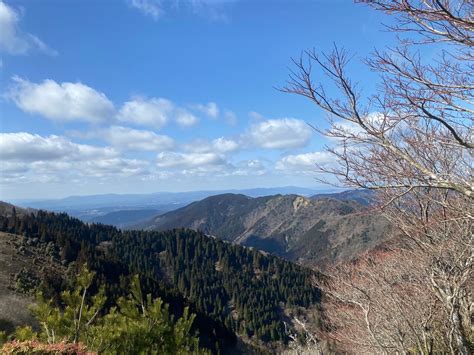 鈴鹿山脈 その3 入道ヶ岳・鎌ヶ岳・仙ヶ岳の写真16枚目 Yamap ヤマップ