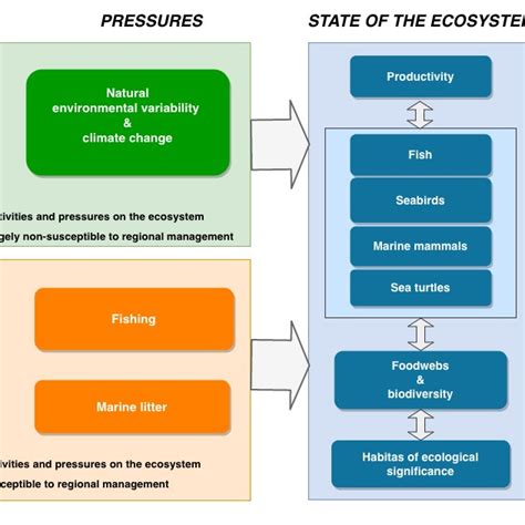 Main ecosystem components described in the ecosystem overview ...