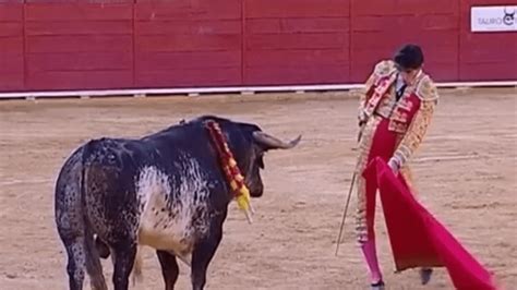 Corrida un torero meurt dans l arène