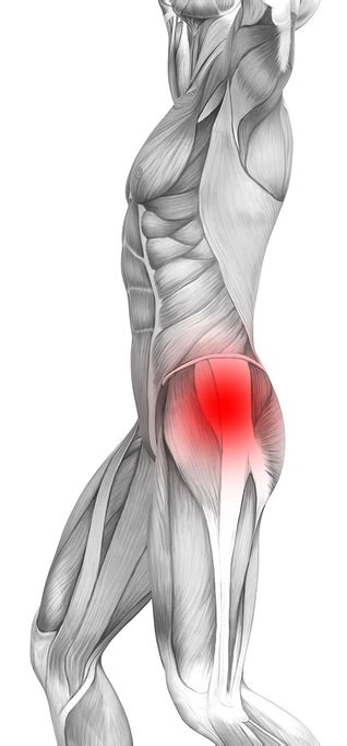 10 Easy Movements For Hip Bursitis Lifelong Wellness