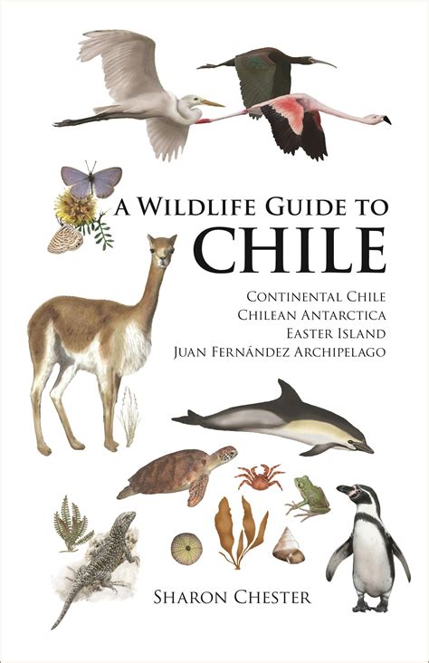 A Wildlife Guide to Chile | Princeton University Press