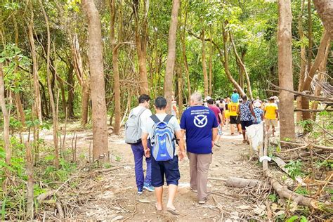 Dal Terminal Crociere Di Manaus Punti Salienti Della Foresta Pluviale