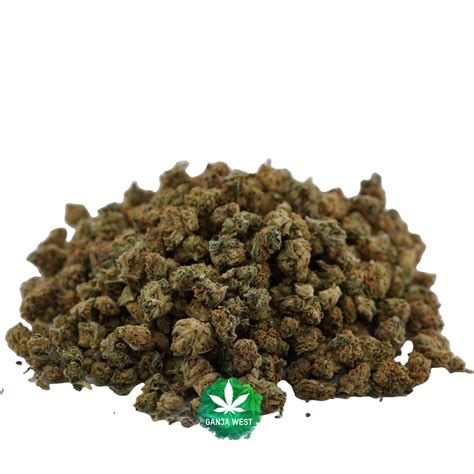 Scout Master AA Popcorn Sativa Ganja West Online Dispensary In Canada