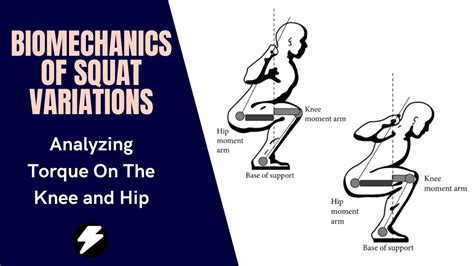 Biomechanics Of Squat Variations Analyzing Torque On The Knee And Hip