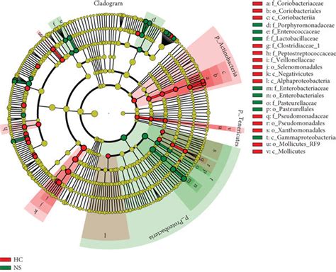 Cladogram Generated From Linear Discriminant Analysis Lda Effect