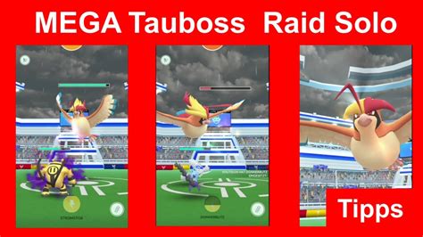 Mega Tauboss Raid Solo Gewinnen Wie Man Mega Tauboss Allein Besiegt