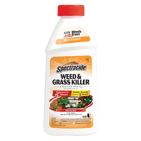 Weed And Grass Killer Concentrate2 Weed Killers And Preventers At