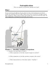 Modified POGIL Eutrophication by Nolan.docx - Eutrophication How can ...