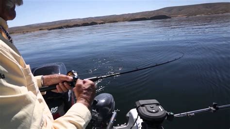 Fishing For Flaming Gorge Reservoir Kokanee Rainbows YouTube