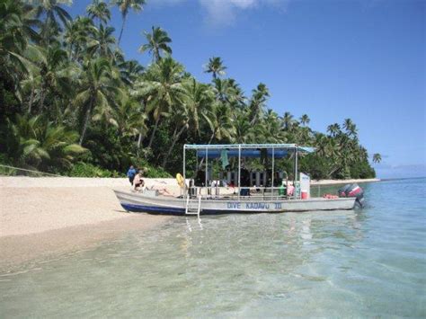 Dive Kadavu Dive Shop Scuba Diving Fiji