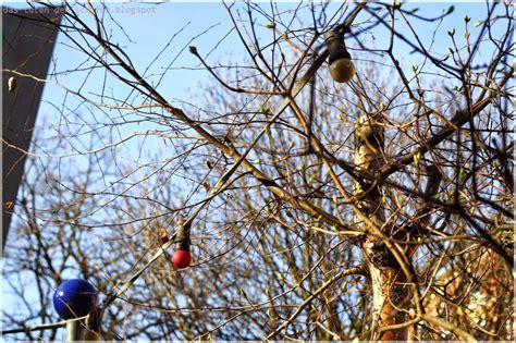 Streetstyle Ottensen Bilder Eines Fr Hlingsspaziergangs Das Tuten