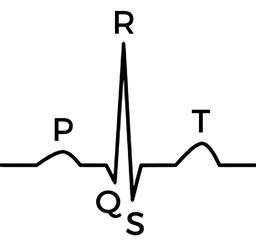 heart rate labster