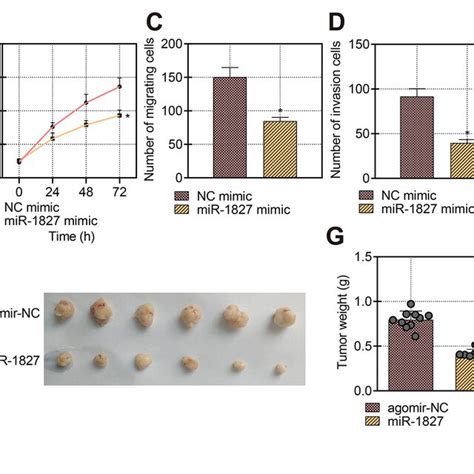 Effect Of Mir 1827 On The Growth And Metastatic Capacity Of Crc Cellsin Download Scientific