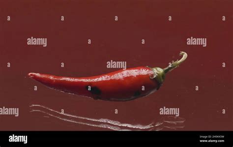 Close Up Of Hot Red Pepper On Isolated Background Stock Footage Hot Red Pepper Lies On Flat