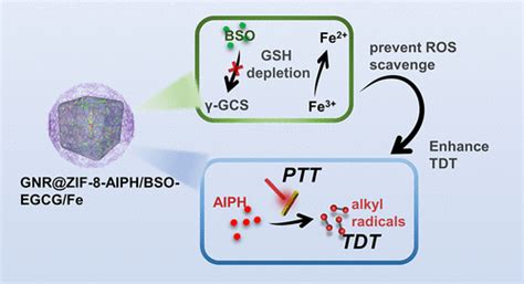 Amplification Of Oxygen Independent Free Radicals Based On A