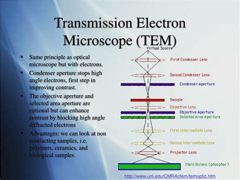 Ppt Microscopy As A Means For Nano Characterization Powerpoint