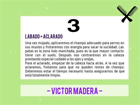 Victor Madera Cómo hacer una sesión de peluquería en casa PPT