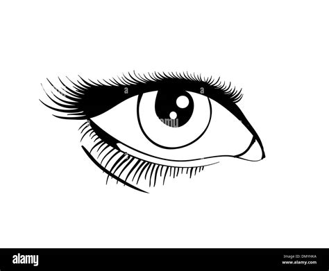 Cartoon Human Female Eye Eyelash Schwarzweiß Stockfotos Und Bilder Alamy