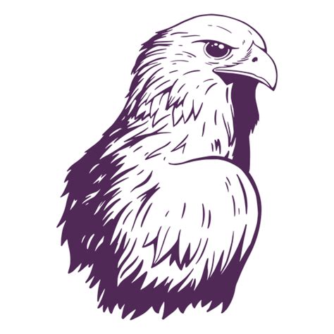 Design Png E Svg De Águia Lateral Desenhada à Mão Para Camisetas