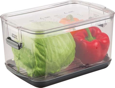 Amazon.com: lettuce container