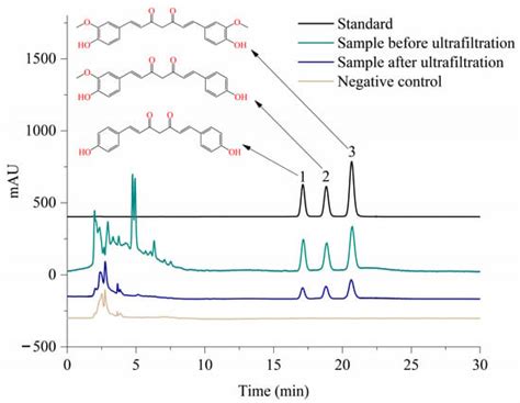 Nutrients Free Full Text Discovery Of Curcuminoids As Pancreatic Lipase Inhibitors From