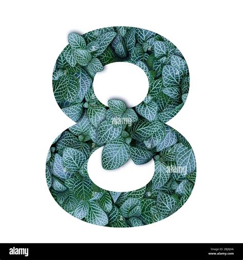 Nature Concept Alphabet Of Green Leaves In Number Eight Shape Stock