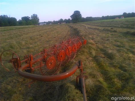 Zgrabiarka Fotka Zgrabiarki 533083 Galeria Rolnicza Agrofoto