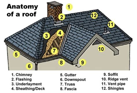anatomy   roof angies list