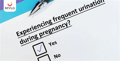 Frequent Urine During Pregnancy | MyloFamily