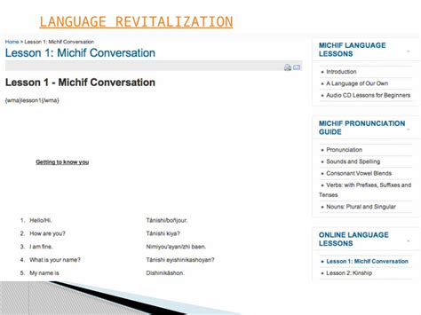 Pptx Homogenization Vs Assimilation Homogenization Of Youth Culture A Monoculture How Should